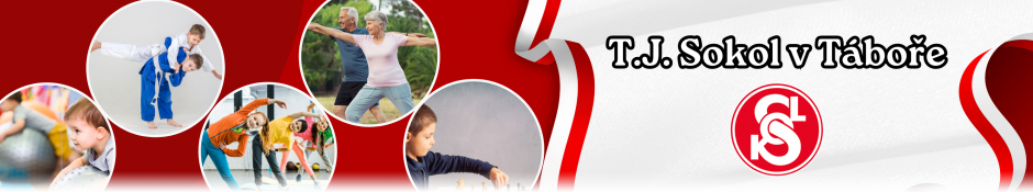 Primary Raster logo